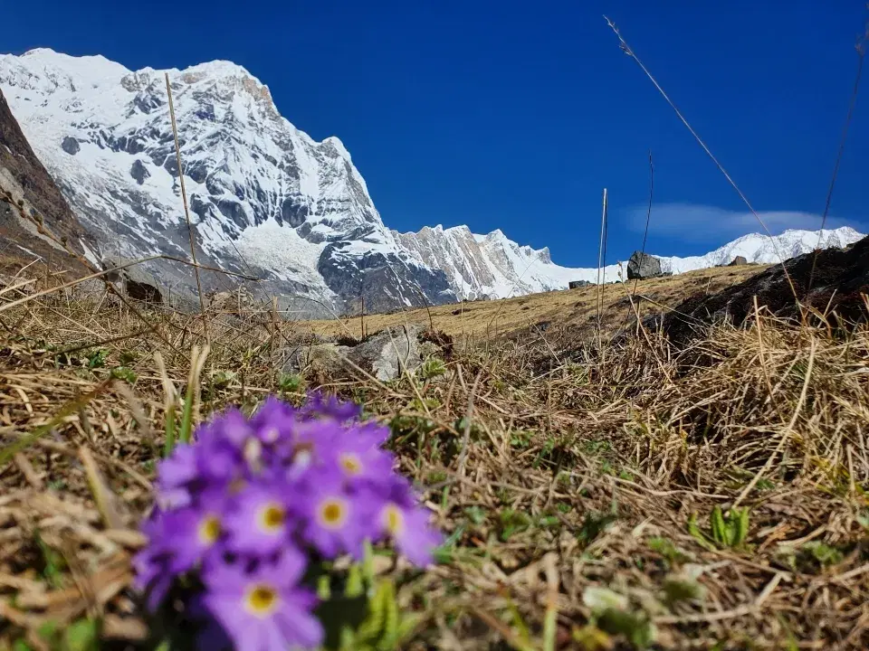 Annapurna