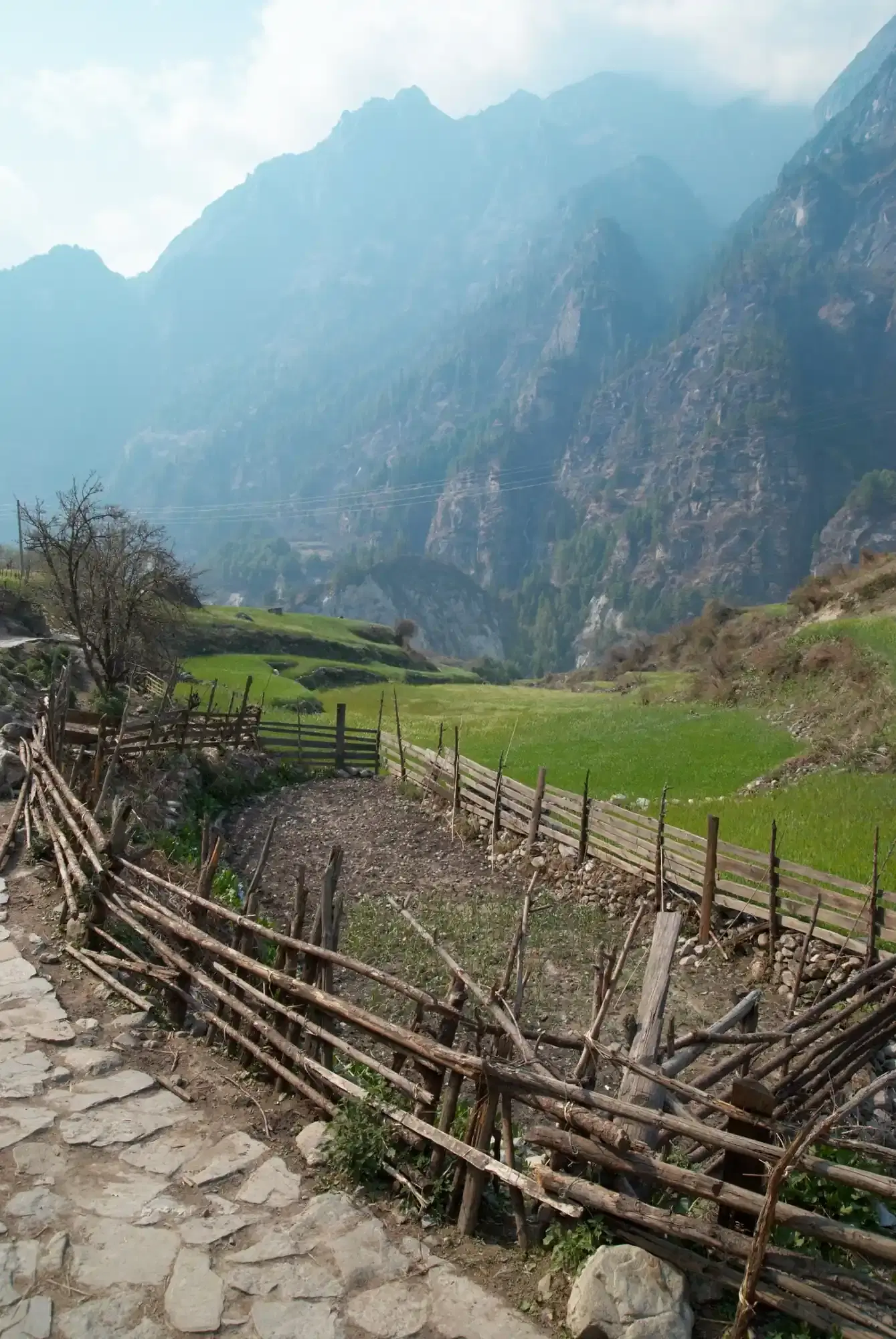 Humla & Limi