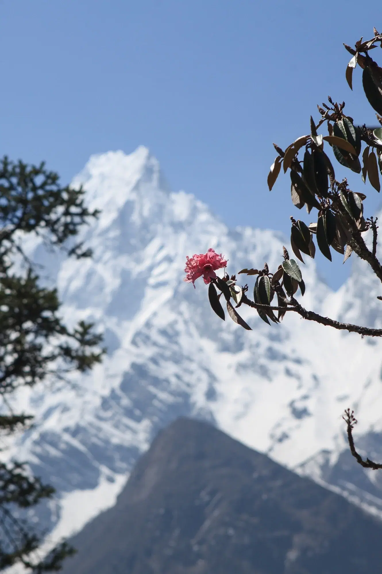 Manaslu & Tsum