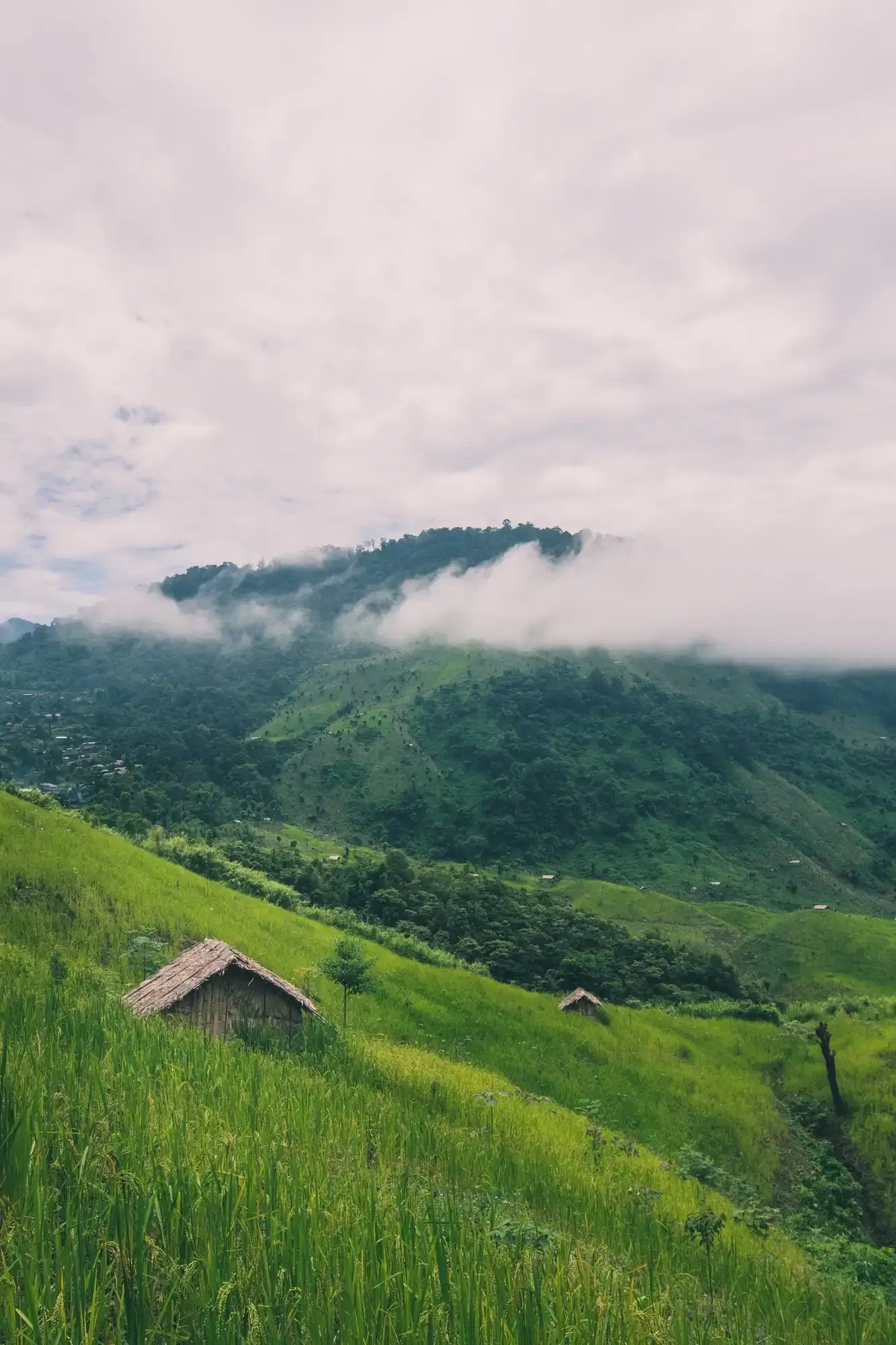 Kathmandu Hills & Nature
