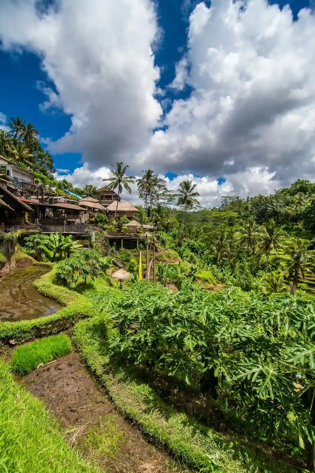 Ubud and Central Bali